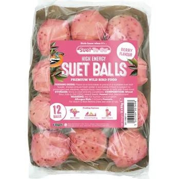 Pro ptáka Suet To Go Lojové koule s bobulemi 12 ks
