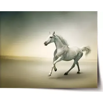 Plakát Sablio Plakát Bílý kůň 2 - 60x40 cm