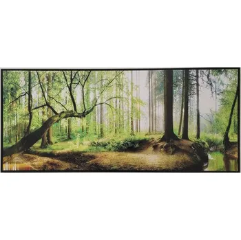 Obraz Obraz SHADOW 59x134cm Les