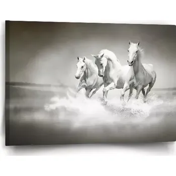 Obraz Sablio Obraz Bílí koně - 60x40 cm