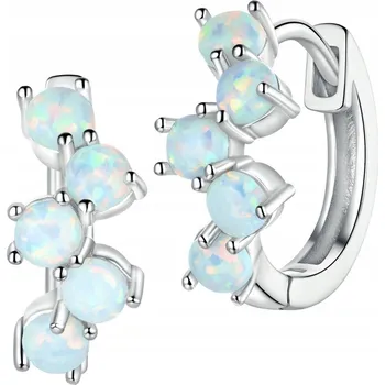 Náušnice Náušnice Stříbro 925