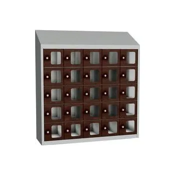 Svařovaná skříň na osobní věci Olaf s průhlednými dvířky, 25 boxů, cylindrický zámek, šedá/hnědá