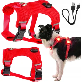 Postroj pro psa SVÍTÍCÍ POSTROJ pro psa LED svítící ve tmě netlakový typu GUARD M USB