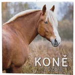 Baloušek Tisk Nástěnný kalendář Koně…