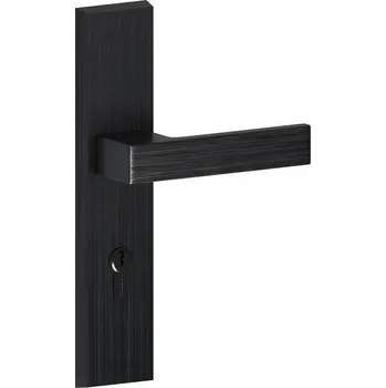 IP kamera Vnější klika O.K.Doors s dlouhým štítkem