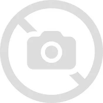 Letní osobní pneu PIRELLI PZERO TROFEO RS XL 315/30 R21 105Y