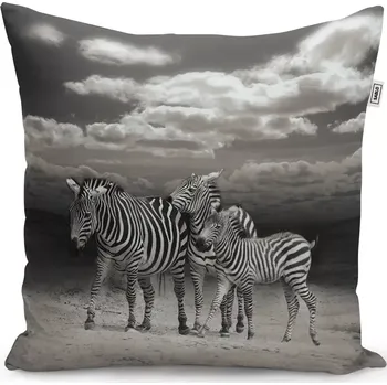 Polštář Sablio Polštář Zebry - 60x60 cm