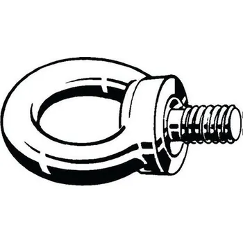 Šroub Lifting eye bolt DIN 580 Nerezocel A4 50 odlitek M12