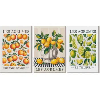 Obraz Sada obrazů na plátně k zavěšení - Citrusy v barevném provedení 3x 20x30 cm