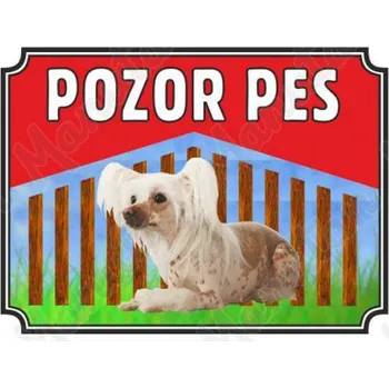 Pozor pes - Čínský naháč, plast 210 x 148 x 0,5 mm A5