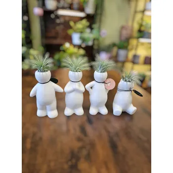 Keramický panáček s tilandsií mix