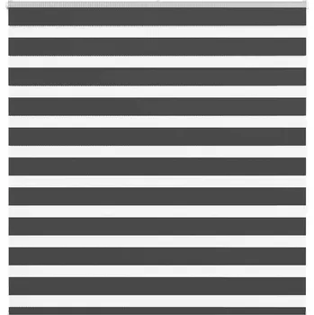 Roleta vidaXL Zebra roleta černá 150x150 cm šířka látky 145,9 cm polyester