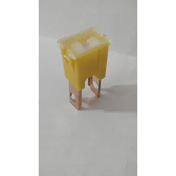 Autopojistky POJISTKA JapVal SAMEČEK S OČKEM 60A BOS