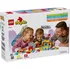 Stavebnice LEGO LEGO Duplo 10450 Hopsy a hra s hradem