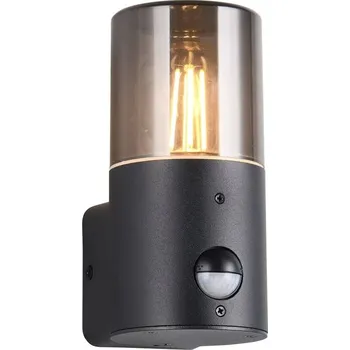 Nástěnné svítidlo TRIO Hoosic, 1x E27, pohybový senzor (222260132) černé