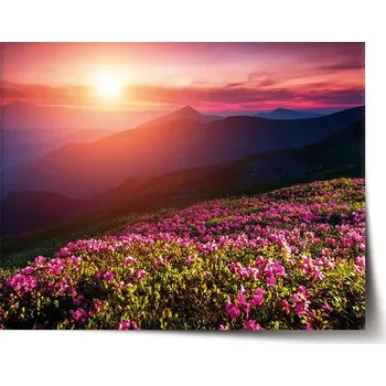 Plakát Sablio Plakát Rozkvetlá příroda - 90x60 cm