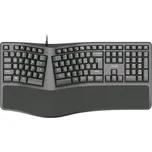 C-Tech Ergo KB-113E, CZ/SK Layout (KB-113E) černá