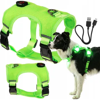 Postroj pro psa SVÍTÍCÍ POSTROJ pro psa LED svítící ve tmě netlakový typu GUARD M USB