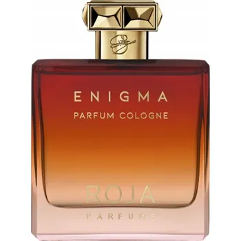 Pánský parfém Roja Parfums Enigma 100 ml kolínská voda