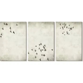 Obraz Sada obrazů na plátně - minimalistická kresba ptáků 3x 20x30 cm