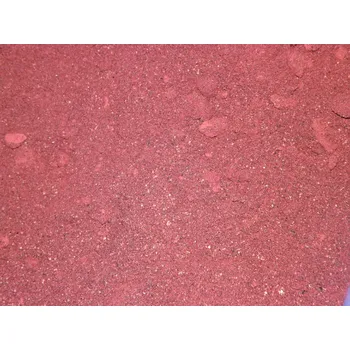 Sušené ovoce Černý rybíz prášek 20 kg LES FRUITS DU PARADIS