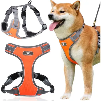 Postroj pro psa Postroj pre psa ASTRO L oranžový