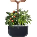 Véritable Exky SMART (VEXK-SSBCO-EU2-164) černý/měděný