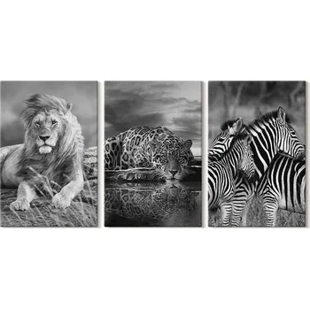 Obraz Sada obrazů na zeď Divoká zvířata savany 3x 20x30 cm