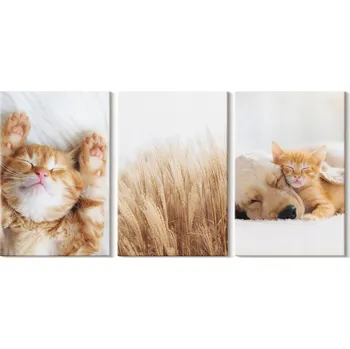 Obraz Sada obrázků pro dekoraci - Roztomilá zvířátka Kočky Psi Boho 3x 20x30 cm
