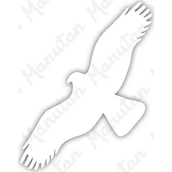 Kancelář Silueta dravce, samolepka 80 x 200 x 0,1 mm