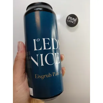 Pivo Lednice Eisgrub Pale Ale 12°/4,7% 0,5l