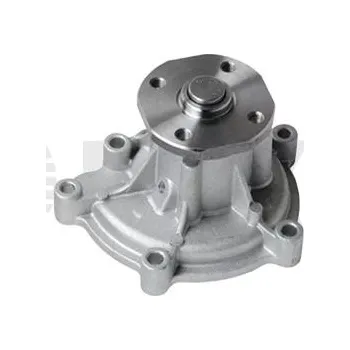 Motor automobilu Vodní čerpadlo, chlazení motoru VIKA 19625001