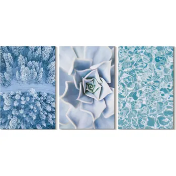 Obraz Obraz Na Plátně Sada Obrazů do Galerie Zimní Les Modrý Květ Voda 3x 20x30 cm