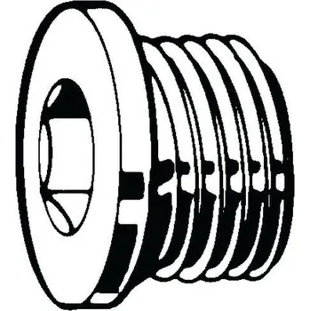 Spojovací materiál Zátka s vnitřním šestihranem a trubkovým závitem DIN 908 Ocel Pravý Bez PU G3/4A
