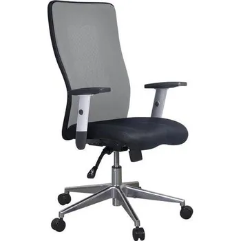 Kancelářská židle Manutan Expert Penelope Top Alu, šedá