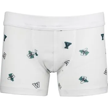 Chlapecké spodní prádlo Pleas Chlapecký slip s nohavičkou modrá 116 (183762-800-116)