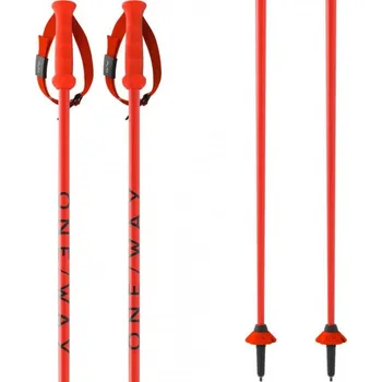 Sjezdové lyžování Oneway RD SL JUNIOR 2025/26