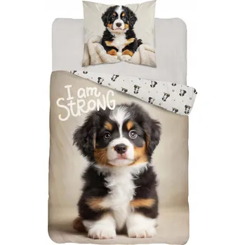 Povlečení Sada povlečení Detexpol 140 x 200 cm růžová