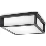 Philips Skies - antracitové (8719514385320)