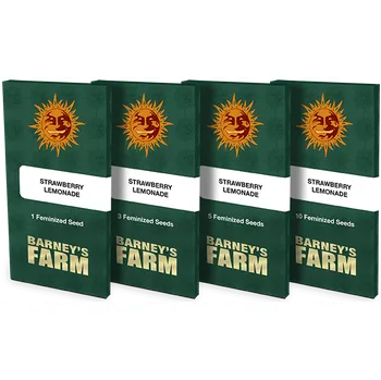 Semeno Barneys Farm Strawberry Lemonade™ Počet ks Feminizované: 1