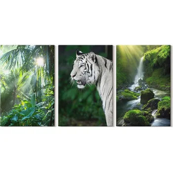 Obraz Sada nástěnných dekorací - obrazy Džungle, Tygr, Vodopád, 3x 20x30 cm
