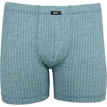 Slipy Pleas Pánský slip s nohavičkou petrolej 2XL (183818-811-056)