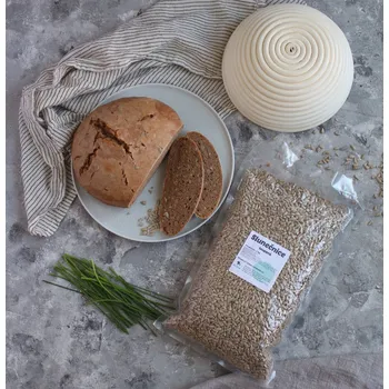 Sušená potravina Slunečnicová semínka loupaná váha 500g