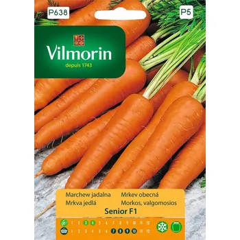 Semeno Mrkev obecná Senior F1 (poloraná, dlouhá, typ Flakkese) 10/2025