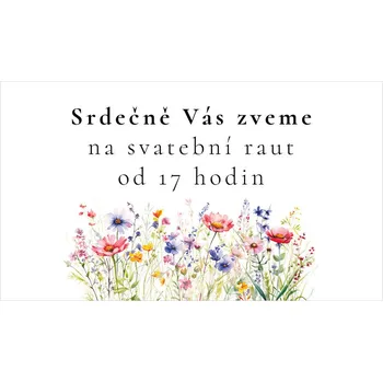 Pozvánka Pozvánka na raut 356