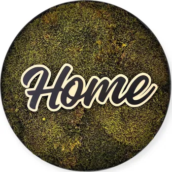 Obraz Kulatý mechový obraz 50 cm s magnetem