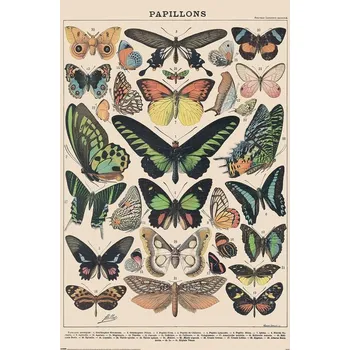 Plakát Plakát, Obraz - Adolphe Millot - Papillons