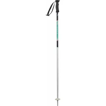 Sjezdová hůlka McKinley Snowfun Ski Poles Girls 100 cm