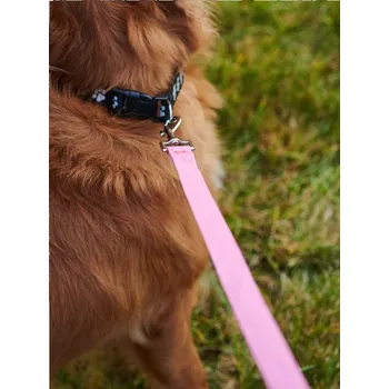 Vodítko pro psa Sinsay - Vodítko pro psa - pastelová růžová - 135DY-03X - 135DY-03X-ONE