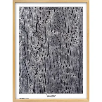 Rám na obraz Fotorámeček TRADAG Natura 60 x 80 přírodní